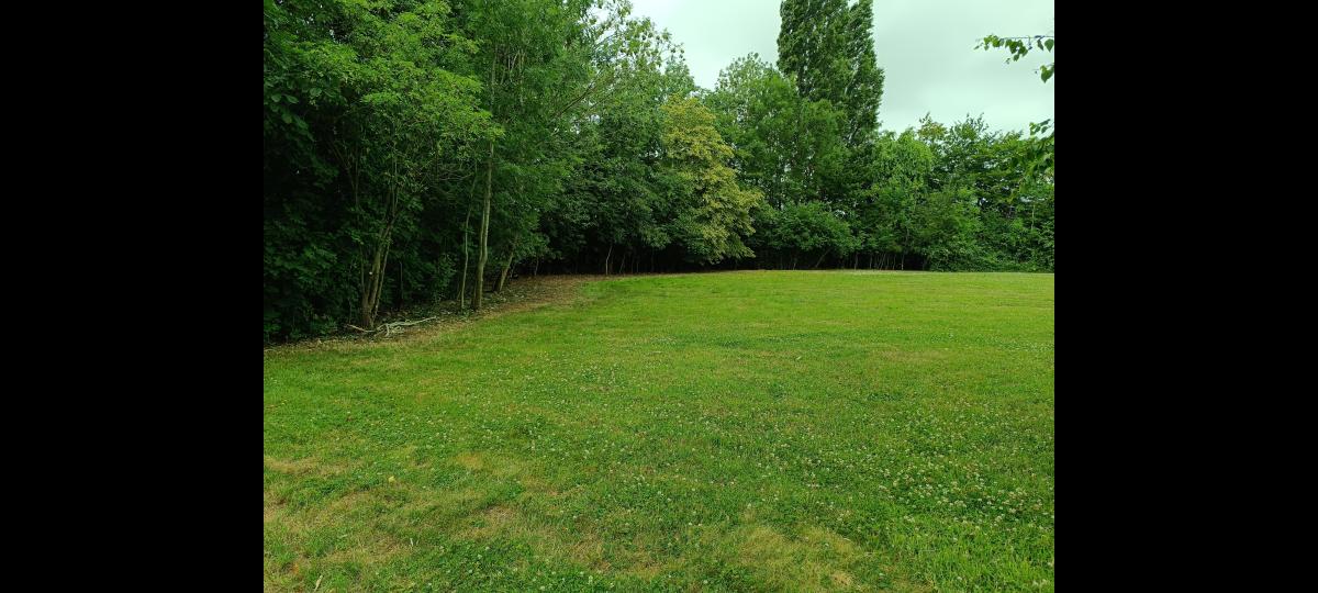 Chantier d'entretien de jardin réalisé par ANTOINE JARDIN SERVICES, paysagiste du réseau Factotum, près de Comines